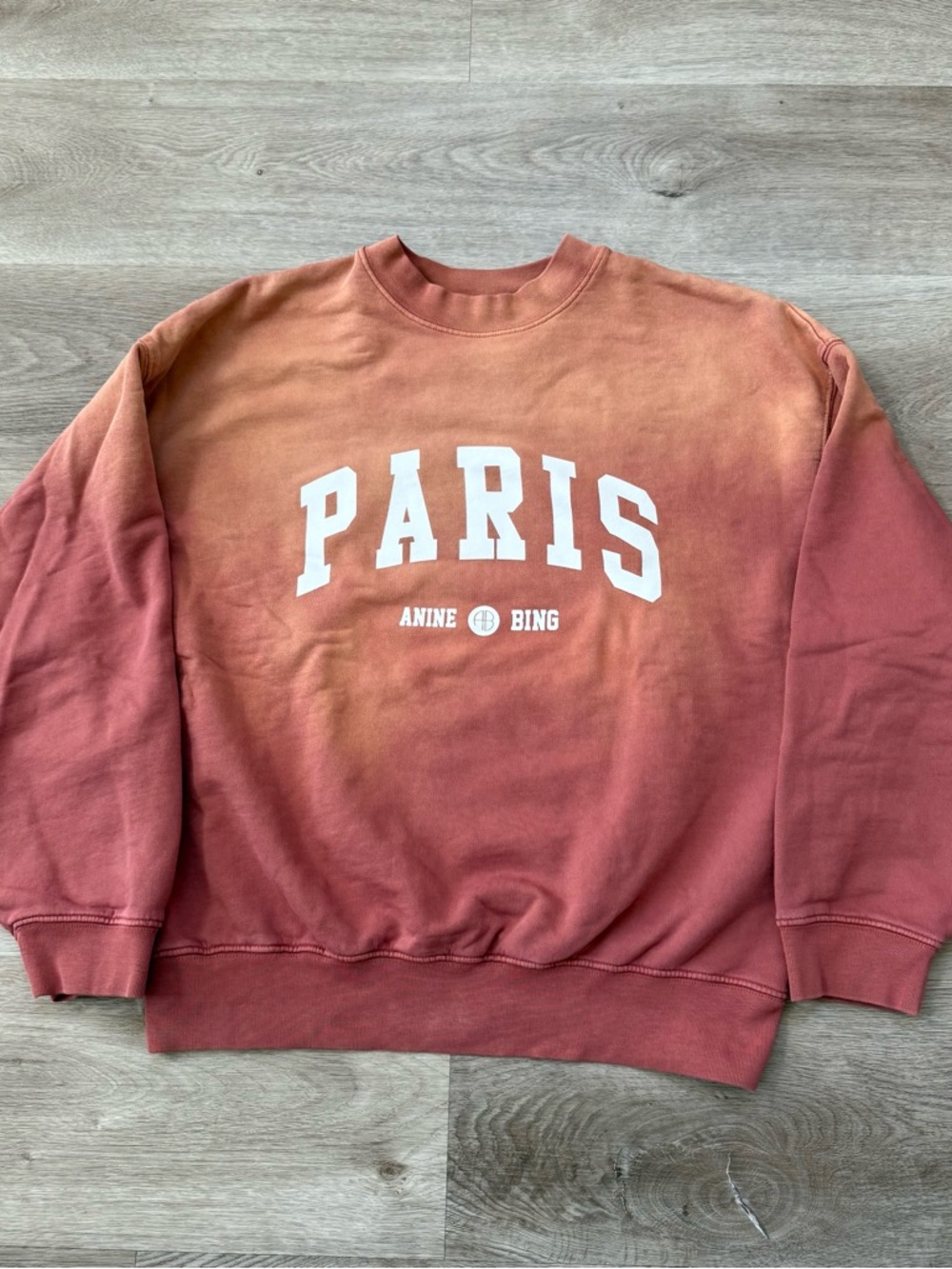 ANINE BING Paris Jaci Sweatshirt Organic Cotton Washed Faded Terracotta Women S